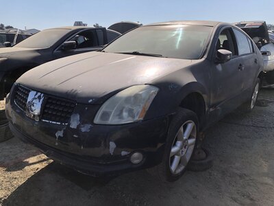 Catalog item FRE112029