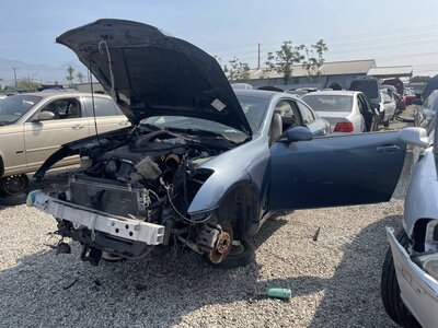 Catalog item POM063741