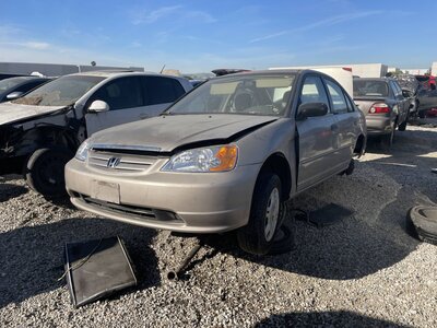 Catalog item POM063134