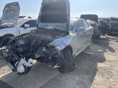 Catalog item POM063536