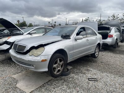 Catalog item POM063586