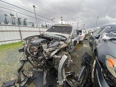 Catalog item SAC045991