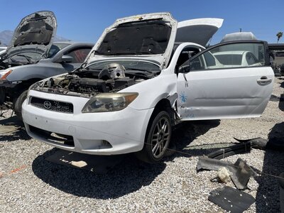 Catalog item POM065166