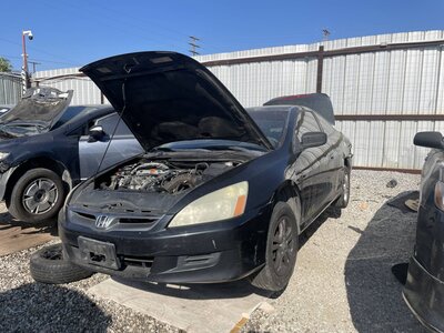 Catalog item POM063483