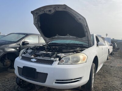 Artículo del catálogo POM062043