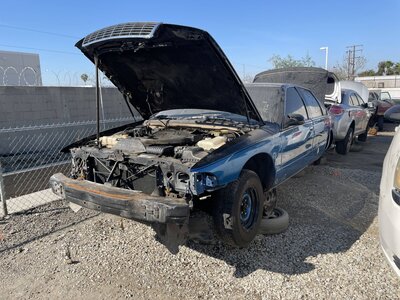 Catalog item POM062920