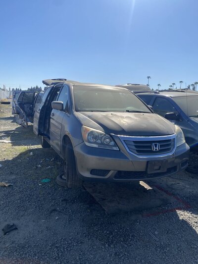 Catalog item SAC047974