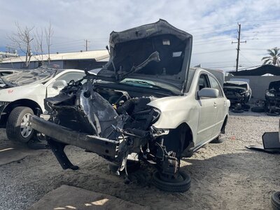 Catalog item POM062275