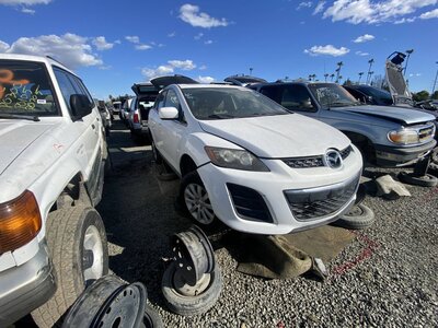 Artículo del catálogo SAC047228