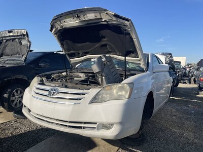 Catalog item POM062824