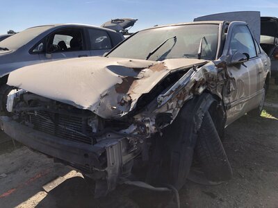 Catalog item FRE111636