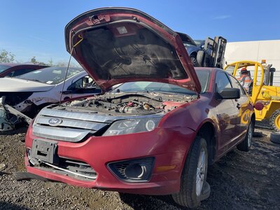 Catalog item POM062725