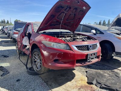 Artículo del catálogo SAC043841