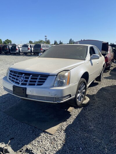 Artículo del catálogo SAC048019