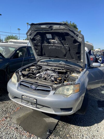 Artículo del catálogo SAC047825