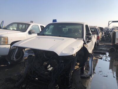 Catalog item FRE106576