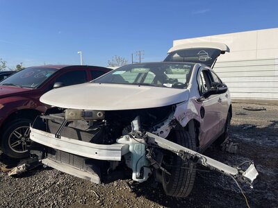 Catalog item POM062459