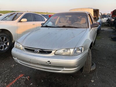 Catalog item FRE110168