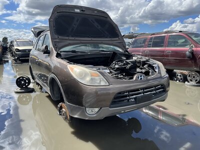 Catalog item SAC042171