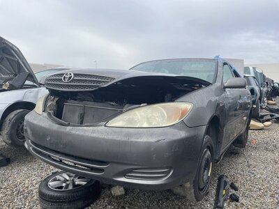 Catalog item POM062570