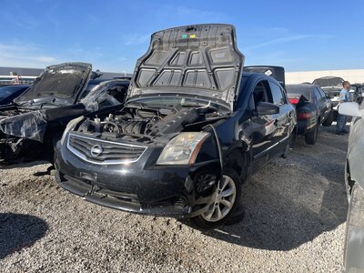 Catalog item POM063193