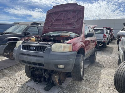 Catalog item POM063819