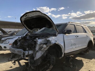 Catalog item FRE111919