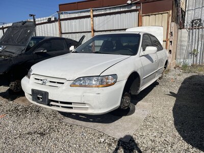 Catalog item POM063492