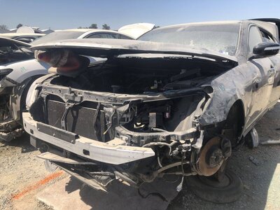 Catalog item FRE101260