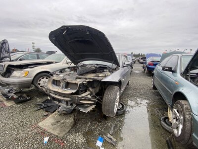 Catalog item SAC044499