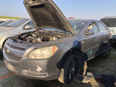 Catalog item FRE110601