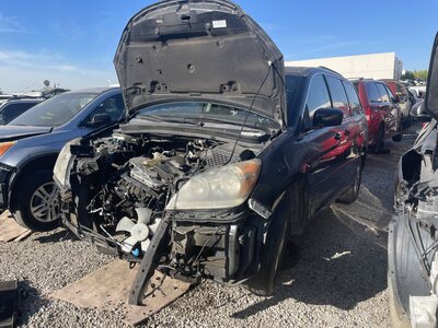 Catalog item POM063175