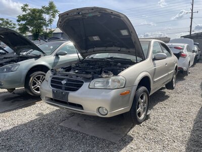 Catalog item POM063983