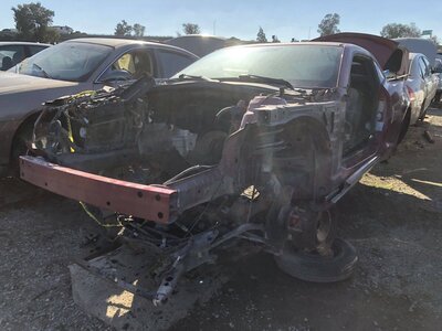 Catalog item FRE102991