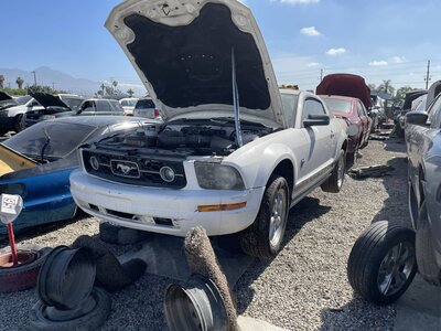 Catalog item POM064071