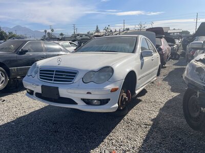 Catalog item POM063557