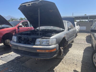 Catalog item POM064183