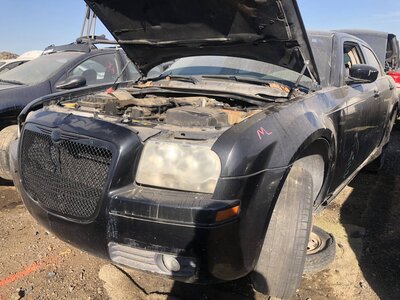 Artículo del catálogo FRE111369