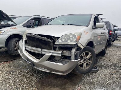 Catalog item SAC045198