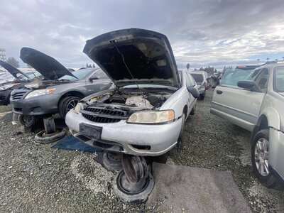 Catalog item SAC046543