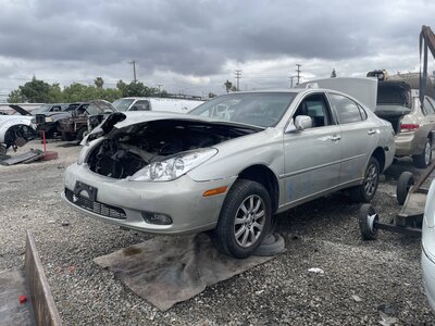 Catalog item POM063556