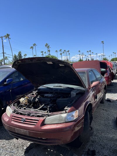 Catalog item SAC048062