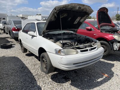 Catalog item POM063047