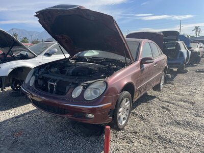 Catalog item POM063518