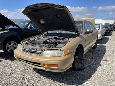 Catalog item POM064061