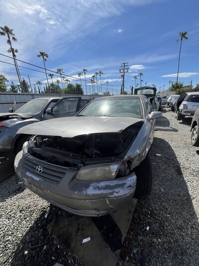 Catalog item SAC048273