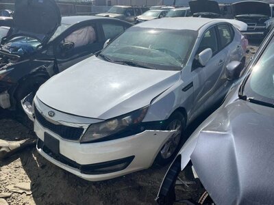 Catalog item POM062083