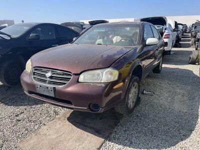 Catalog item POM062935