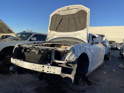 Catalog item POM060089