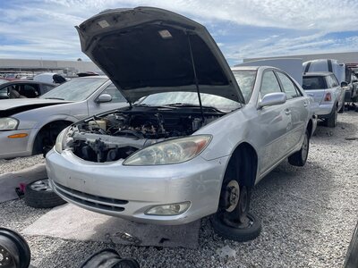 Catalog item POM063881